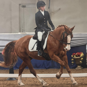 Marie Ridge - Treasurer